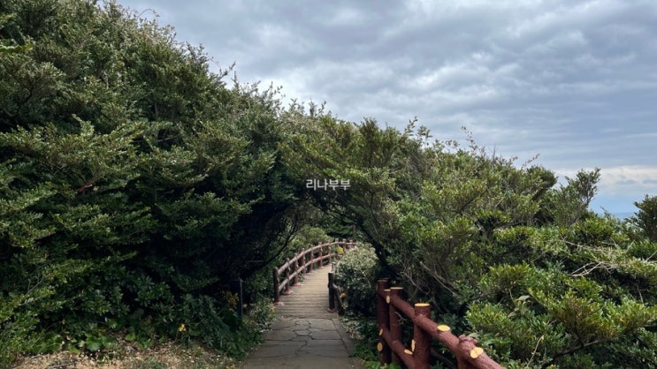  제주서귀포 남원ㅣ잠시 가볼만한곳ㅣ큰엉해안경승지ㅣ해안산책로ㅣ둘레길ㅣ제주날씨