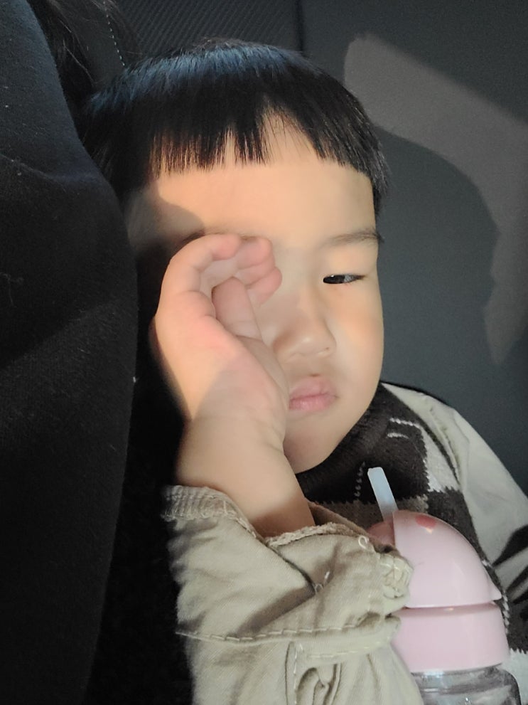  아빠의 육아블로그) 아빠육아일기 <할머니집 다녀오기>
