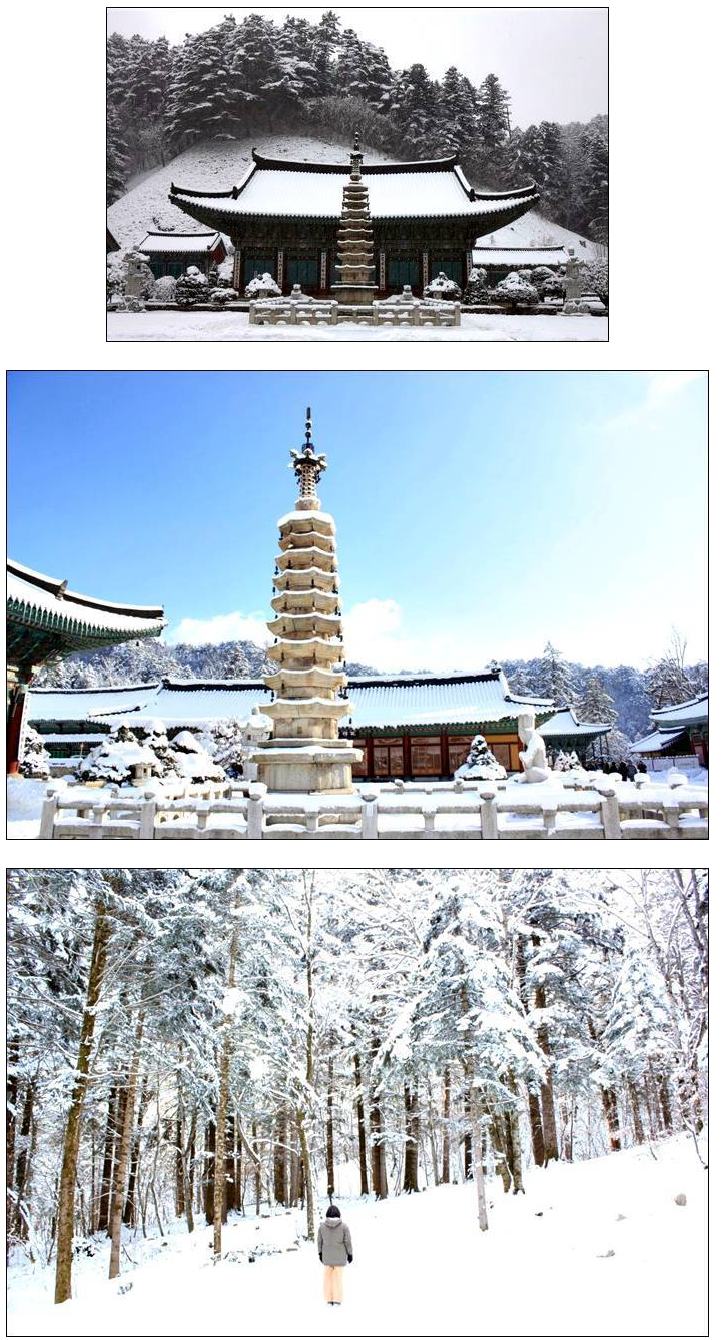 12월 겨울 국내여행지 추천 겨울감성 가득한 강원도 best 6 12월 겨울 국내여행지 추천 겨울감성 가득한 강원도 best 6