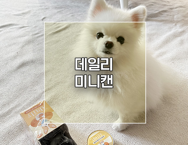  강아지 습식간식 통조림 데일리 미니캔 닭가슴살+연어