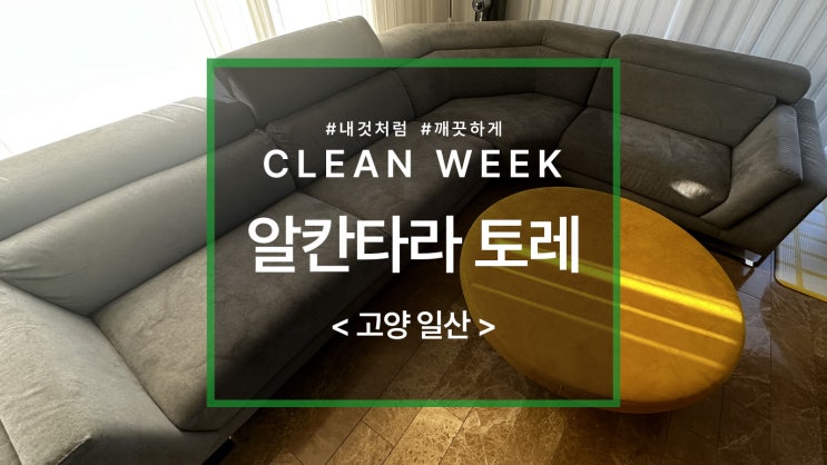  일산 알칸타라 토레 소파 청소