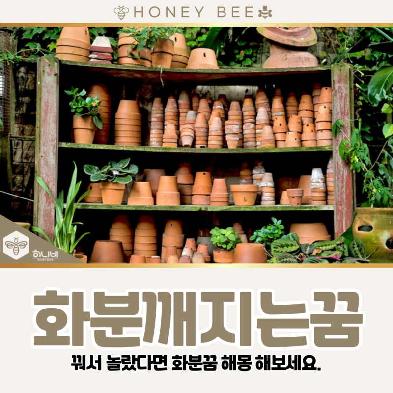 화분꿈 해몽, 화분깨지는꿈을 꿔서 놀랐다면