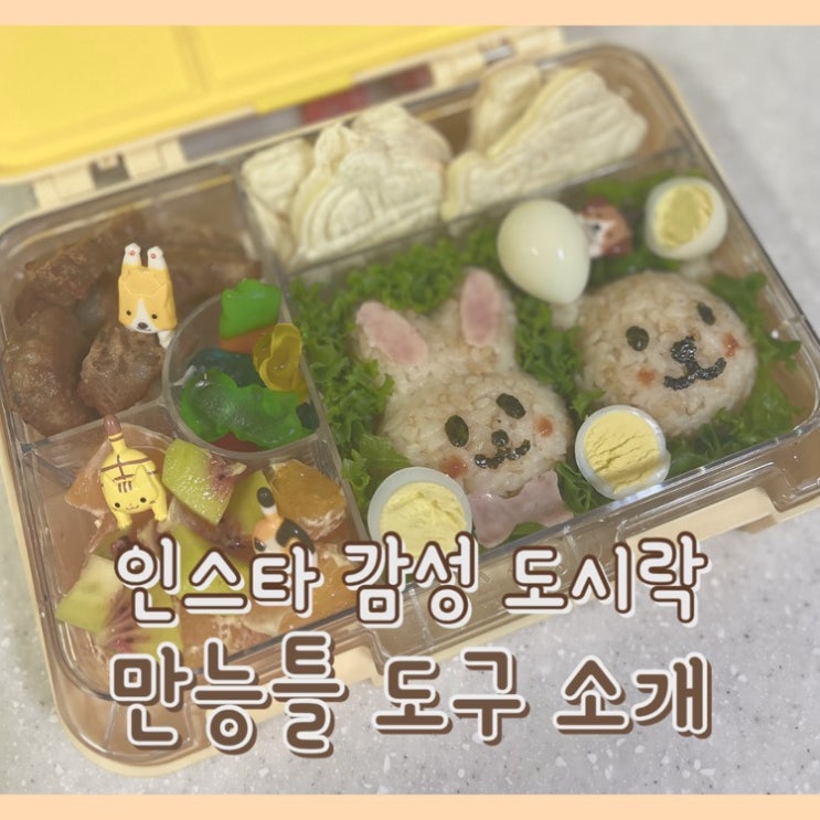  [내돈내산] 인스타그램 감성 아기 소풍도시락 그대로 따라하기