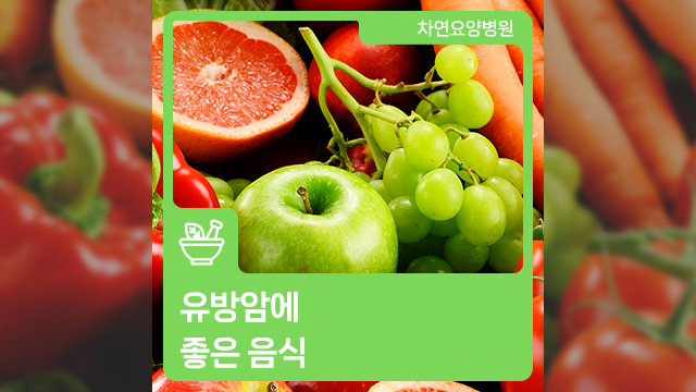 유방암에 좋은 음식 꾸준히 섭취하면서 관리해야