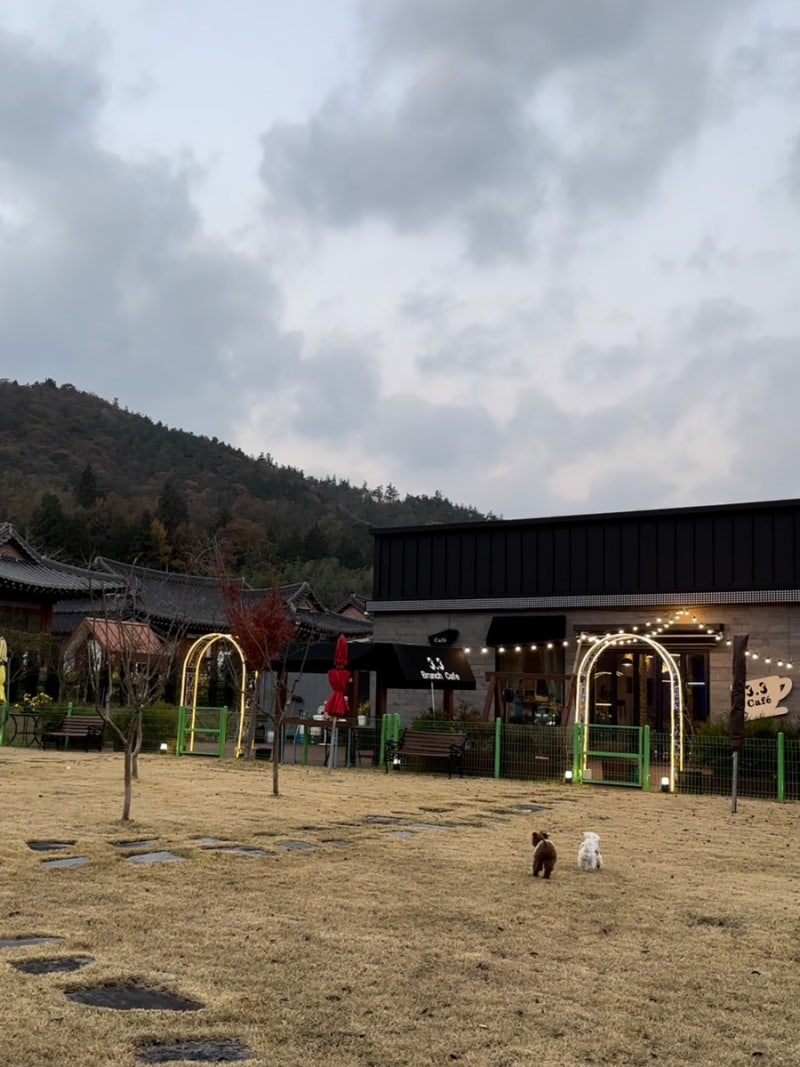사진 5