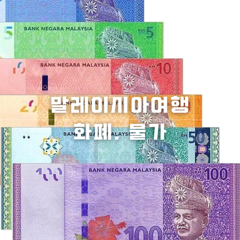 말레이시아 돈 화폐단위 링깃 RM 지폐권종 물가