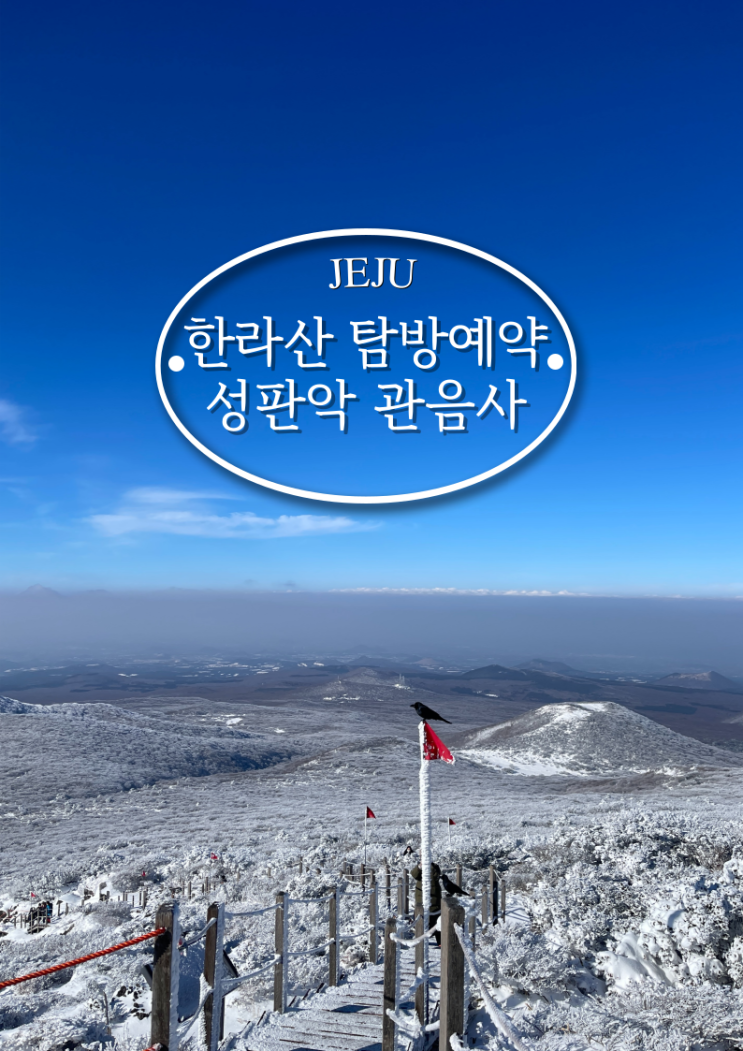  한라산 성판악 관음사 코스 탐방예약 방법 및 시간 정보