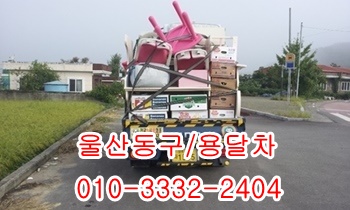  울산동구용달 방어진 울릉도 정자 감포 양남 양북 제주도 입실 모화.
