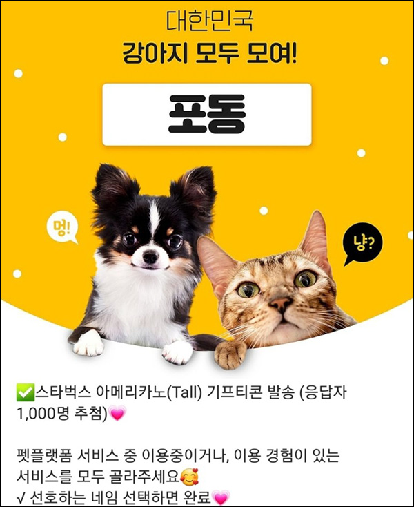 펫플랫폼 서비스 네임 선호 조사(스벅 1,000명)추첨 펫플랫폼 서비스 네임 선호 조사(스벅 1,000명)추첨