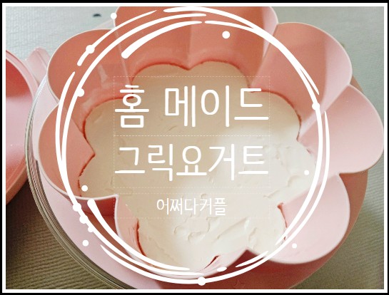  위티미티 유청분리기 꾸덕메이커 요거트메이커로 간편하게 만드는 그릭요거트