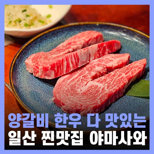  일산 맛집 양갈비 한우 다 맛있는 야마사와