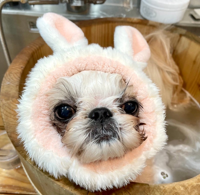 사진 8
