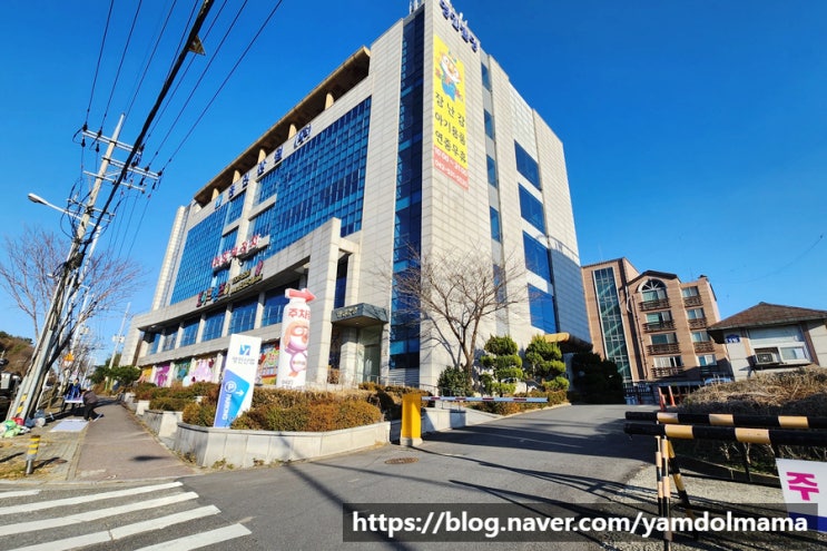  대전장난감백화점 토이프렌즈 다가오는 크리스마스 선물은 이곳에서!!