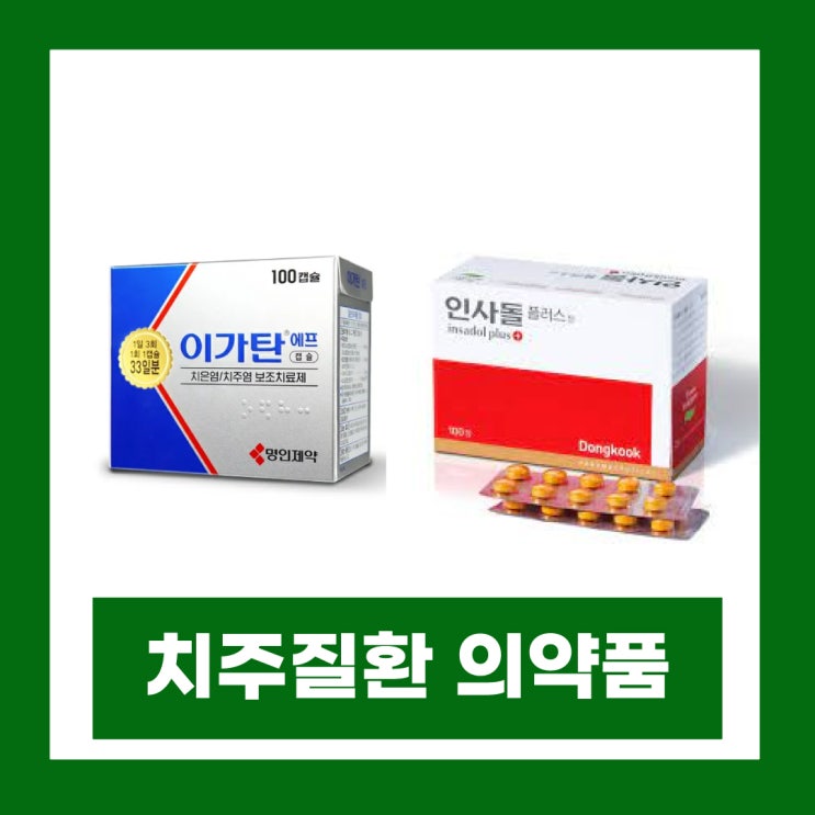  이가탄 인사돌 차이 가격 성분 효능 알아보기