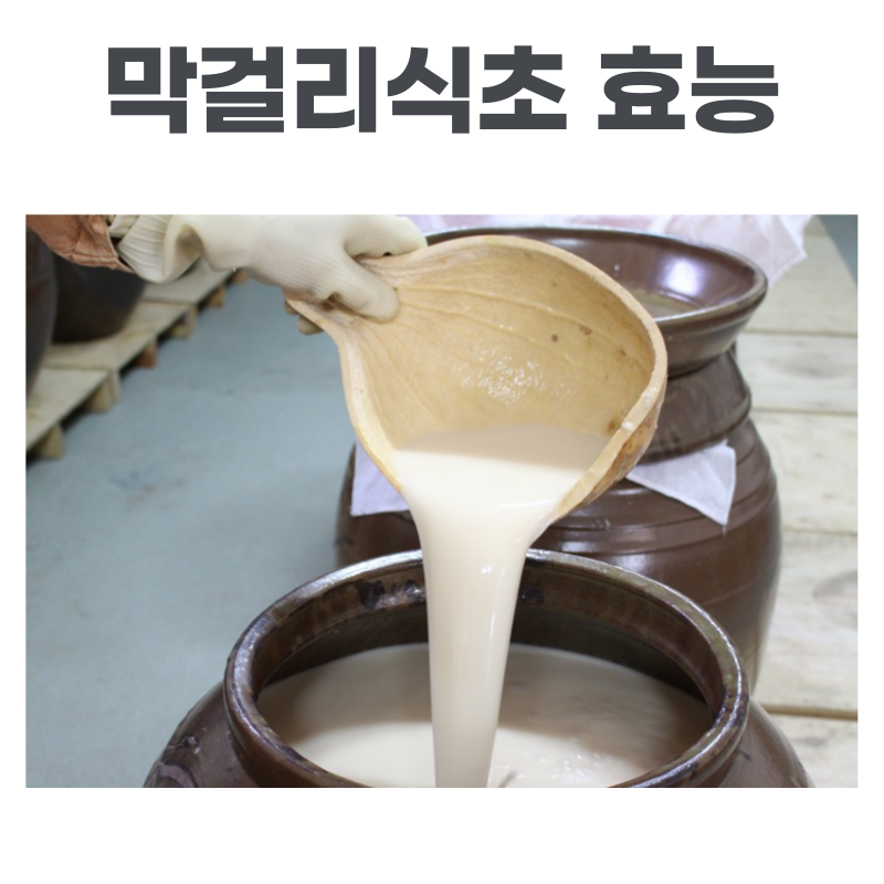 막걸리 식초 효능 부작용 만드는 법 정리