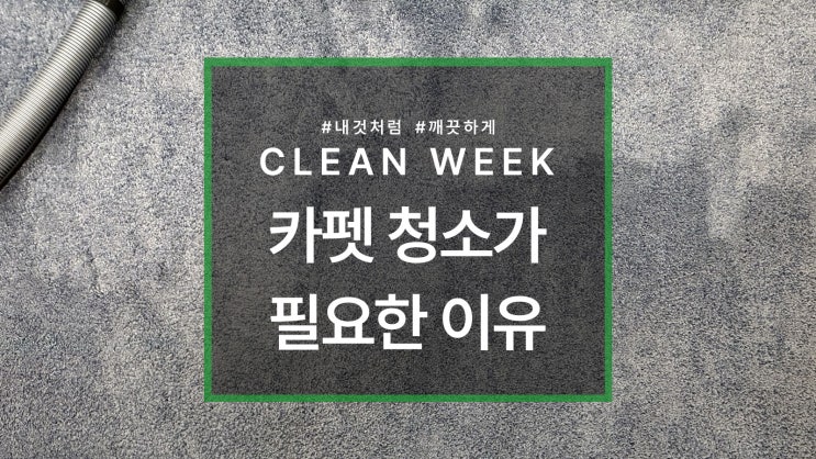  카펫청소가 필요한 이유, 효율적인 카페트 청소 방법