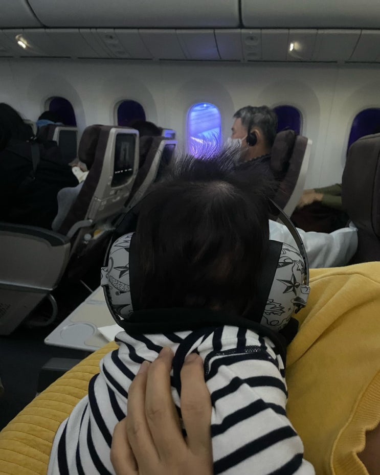  대한항공 유아 좌석 예매 방법    13시간 장시간 비행 후기(대한항공 아기 바구니 좌석)