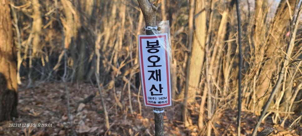 동매산 사진 2