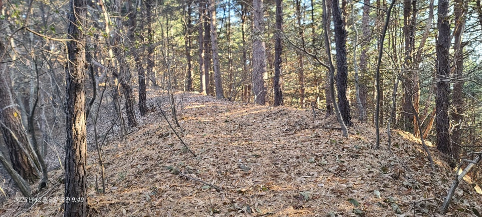 동매산 사진 5