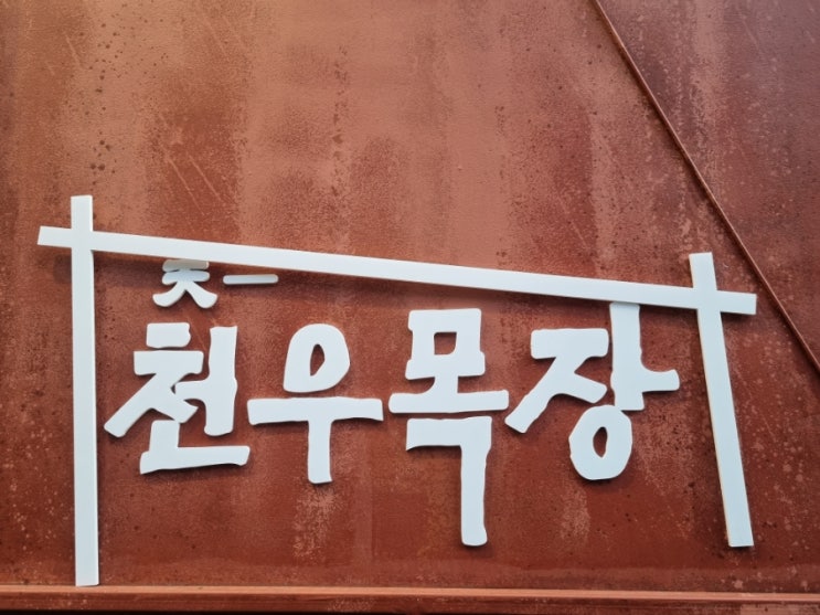  서울 신사동 맛집 천우목장 신사점에서 먹는 한우투쁠짝갈비