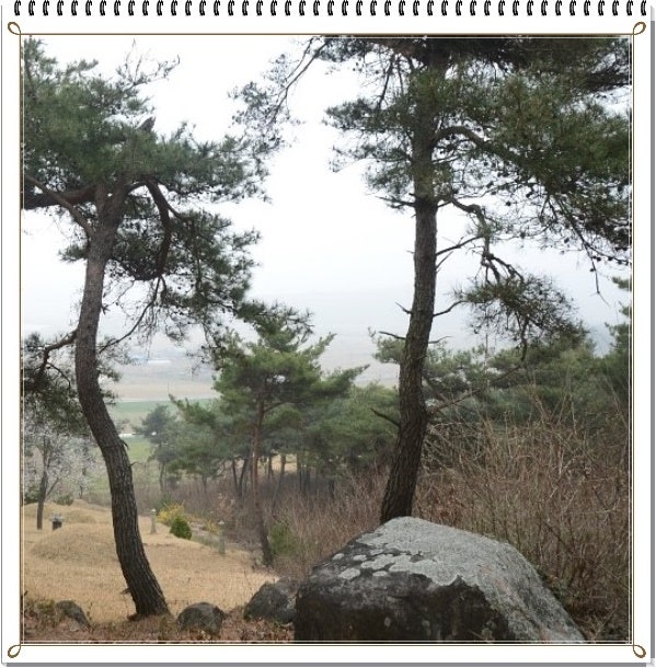 성덕산 사진 3