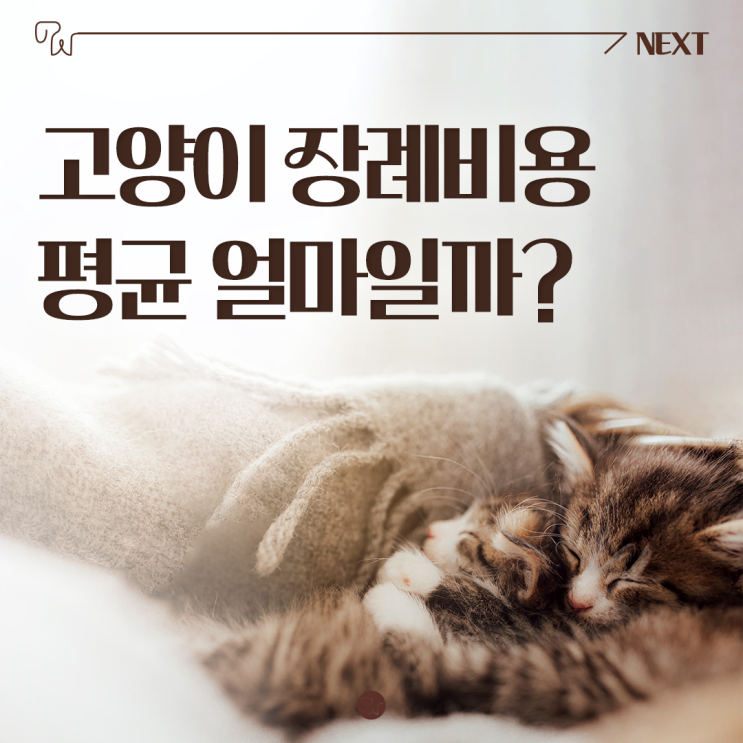  전주근교 고양이 장례비용 평균 얼마일까?
