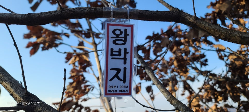 동매산 사진 4