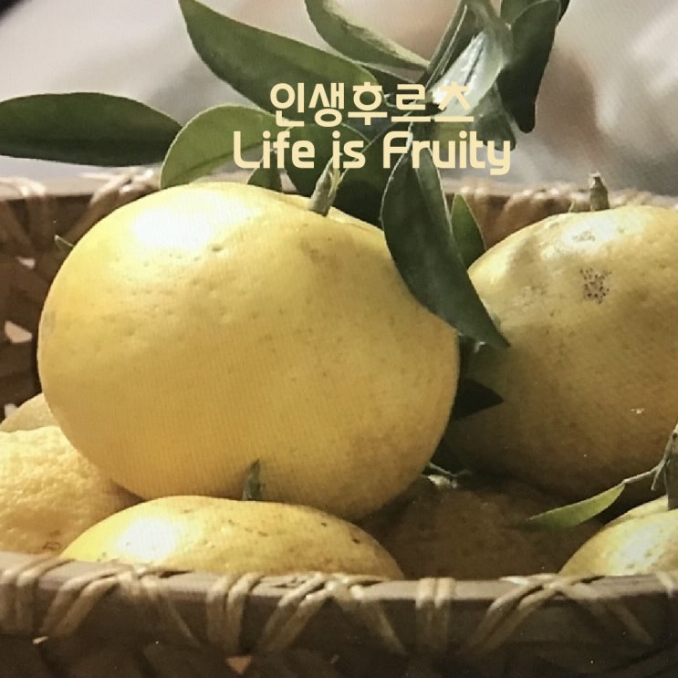 인생후르츠 삶의 보석상자 차근차근 천천히 인생후르츠 삶의 보석상자 차근차근 천천히