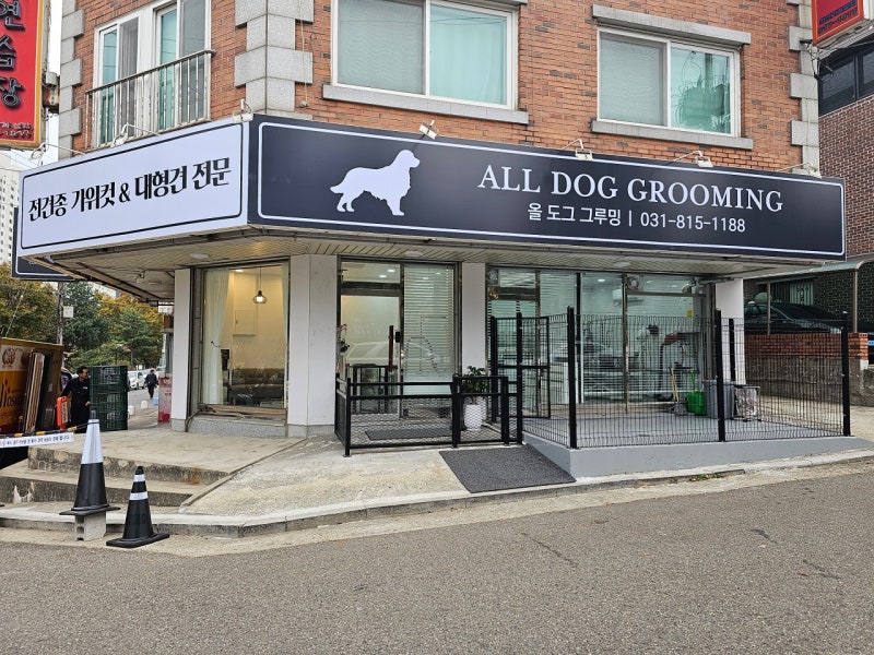 사진 5