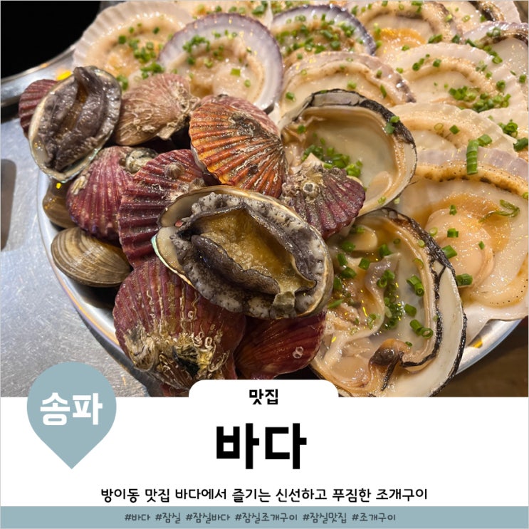  송파구청 맛집 갓벽했던 조개구이맛집 잠실 바다