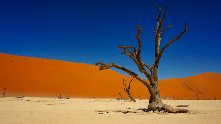 [나미비아 여행정보] 지구에서 가장 아름다운 사막, 하늘, 그리고 별 , 나미비아