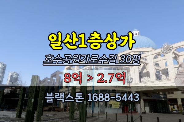  일산호수공원가로수길 1층상가 경매 30평 공실
