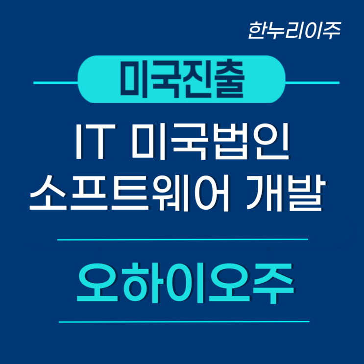  IT 소프트웨어 개발 및 공급업 미국법인설립