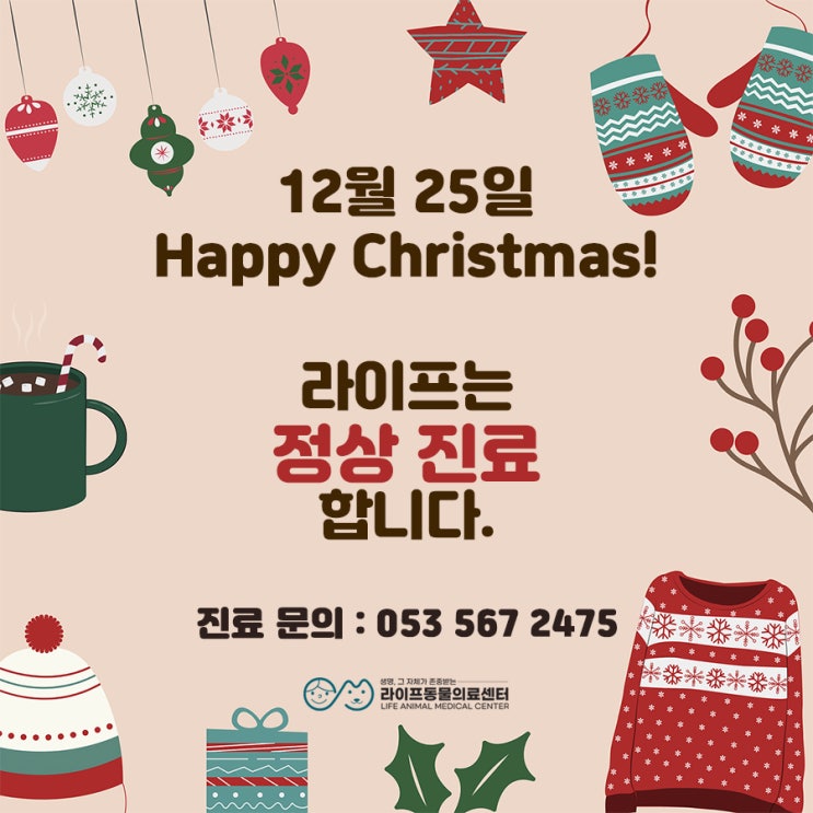 대구24시동물병원 : 크리스마스 진료 및 응급 진료 안내 라이프동물의료센터 대구24시동물병원 : 크리스마스 진료 및 응급 진료 안내 라이프동물의료센터