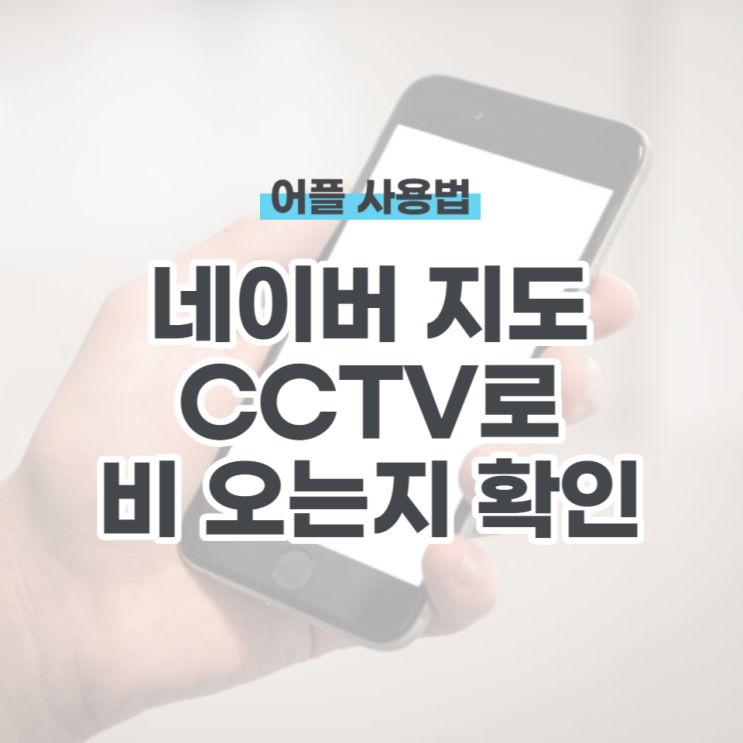  네이버지도 cctv로 비 오는지 확인하기