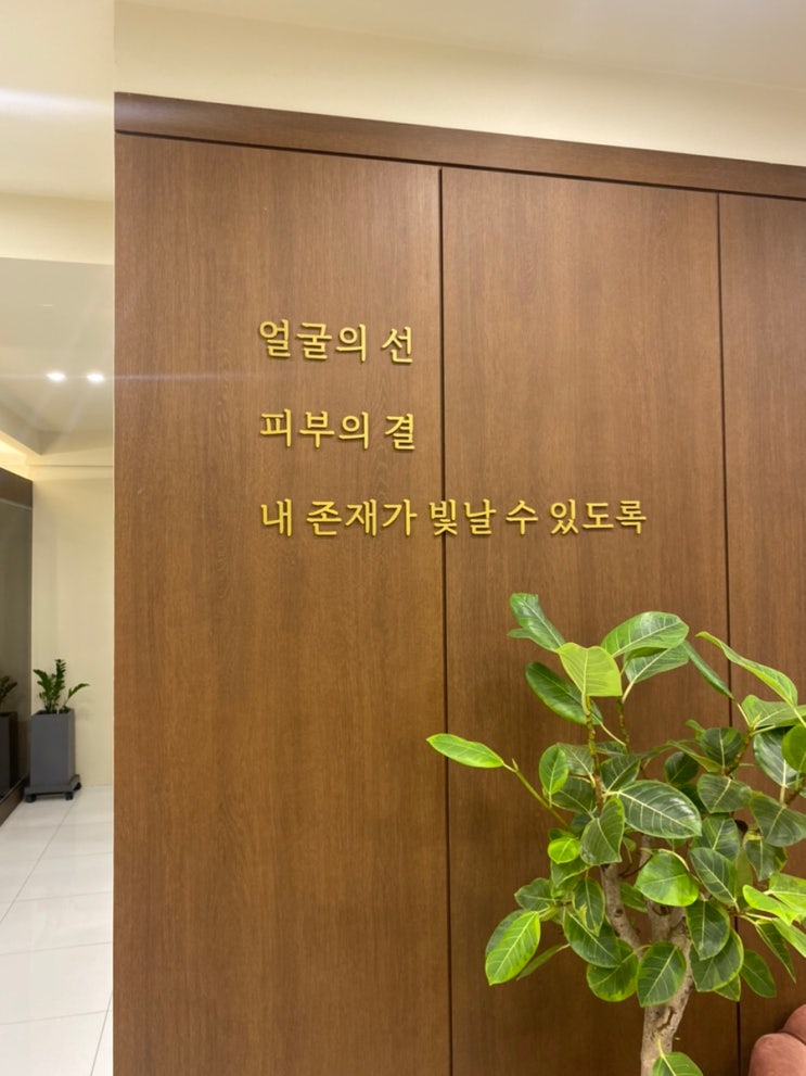  광주 예비신부 강남 메종드엠의원 쌍쎄라(울쎄라) 받고 온 솔직 후기  내돈내산