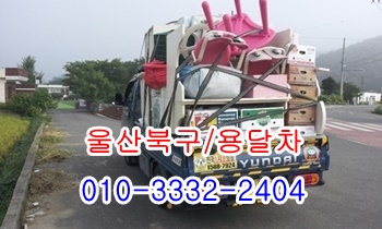  울산북구용달 입실 모화 울릉도 외동 불국사 제주도 호계 정자 주전.