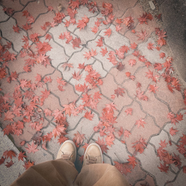  잠시 서행하겠습니다 첫째 :: 크리스마스 루비 뱅쇼