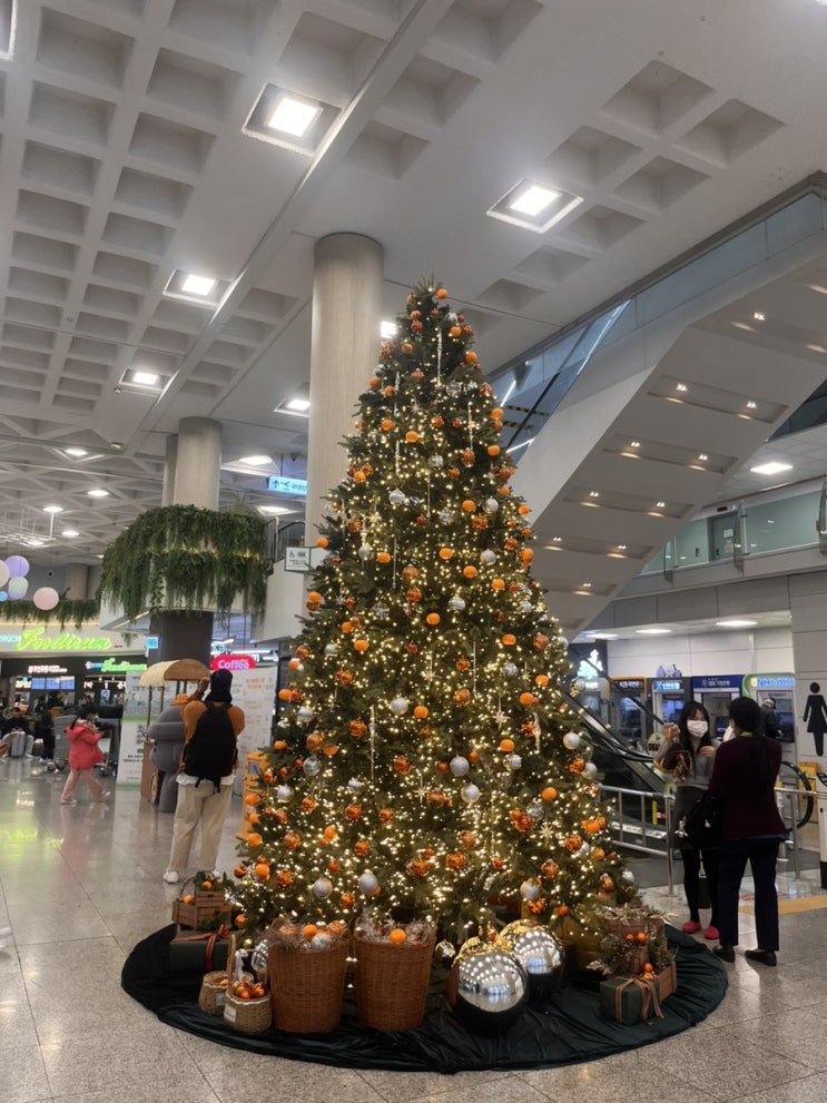  제주도 학회~~