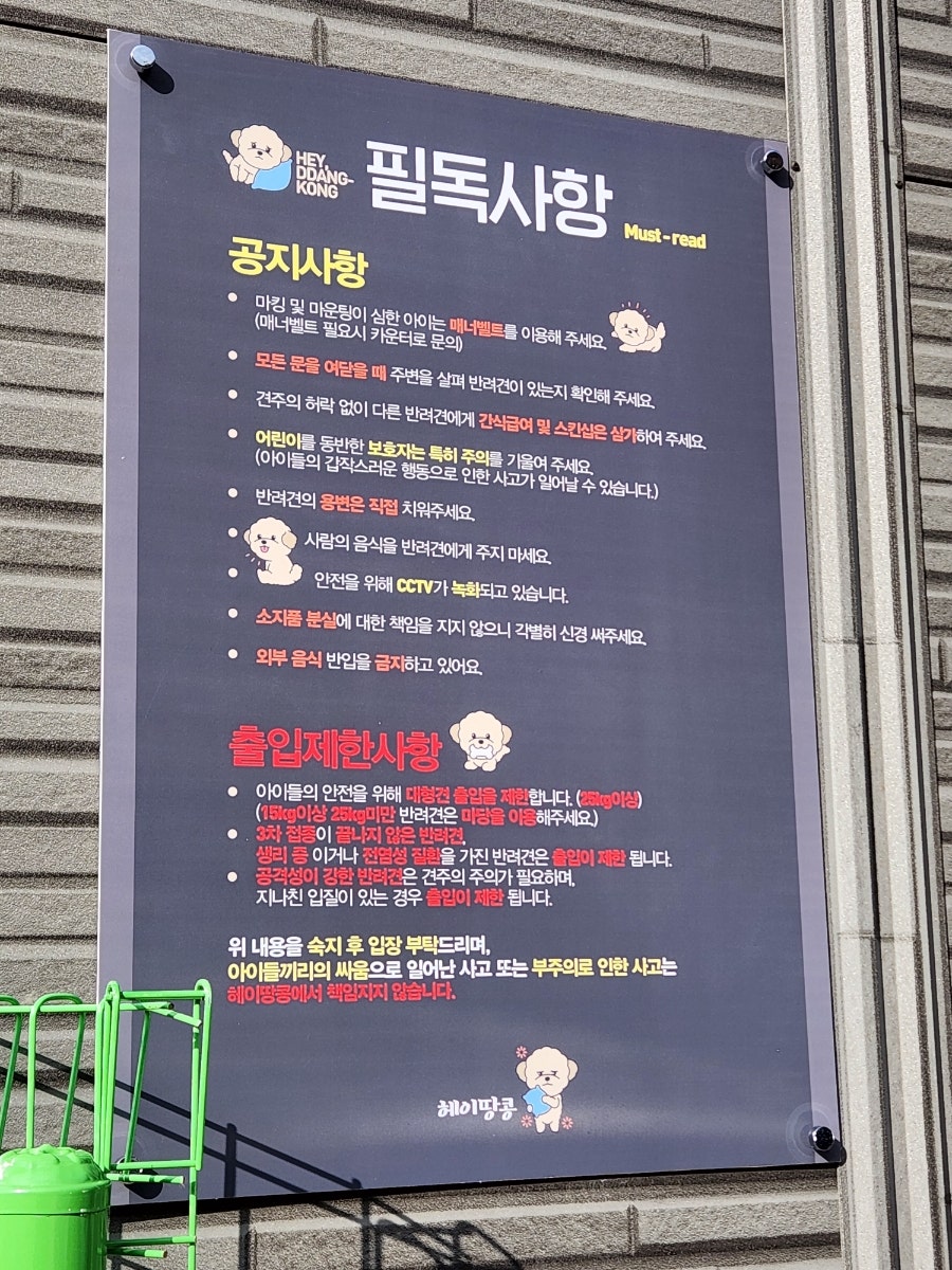 헤이땅콩 사진 5