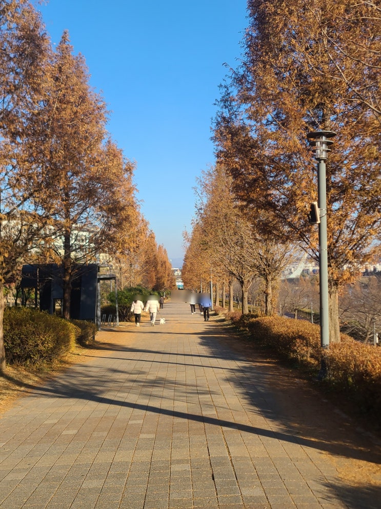  가볼 만한 곳 : 오리와 철새들이 많은 뷰좋고 산책하기 좋은 파주 운정 호수 공원