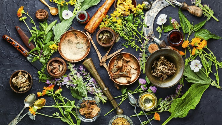  산야초 효소 만들기 초보자 반드시 필독!