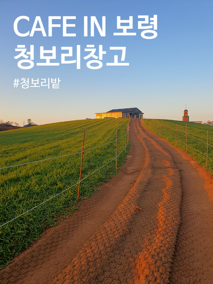  [보령까페/천북까페] 청보리밭 폐목장 까페 "청보리창고" (feat. 청보리창고 위치 영업시간)