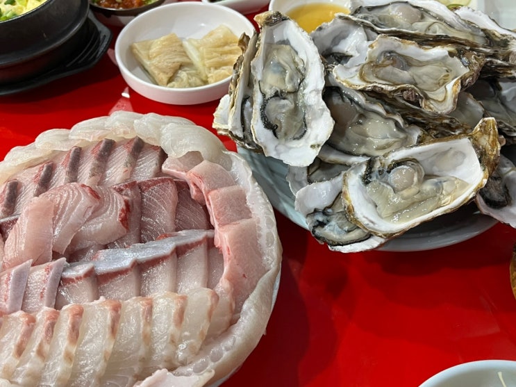 안양 방어 석화 맛집 신화수산 내돈내산 후기