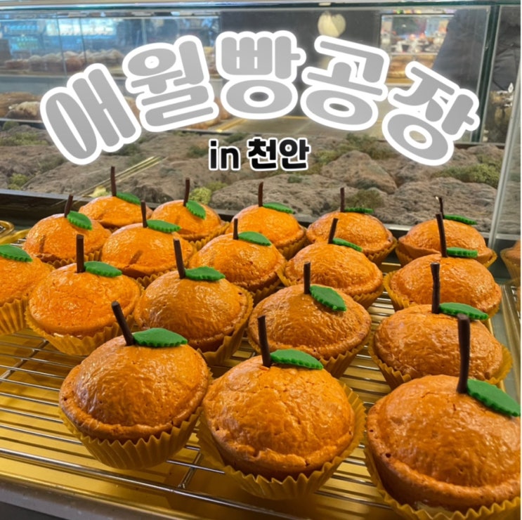 도시 속 작은 제주도 “애월빵공장 천안“ 가따옴!!