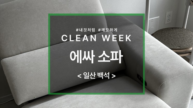  일산 백석 리클라이너 에싸 소파 건식 청소