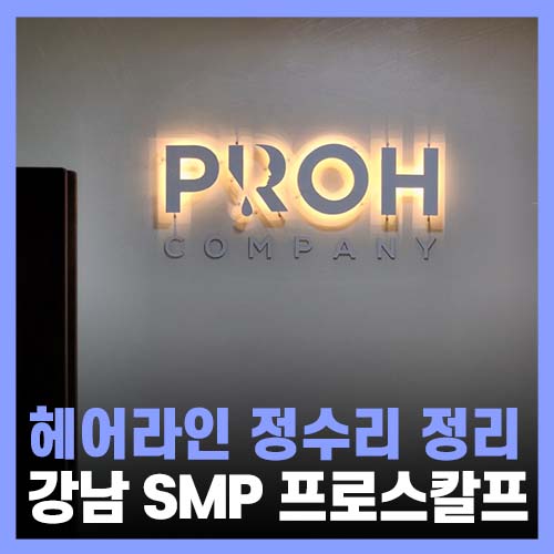  강남 smp 헤어라인 정수리 커버 프로스칼프
