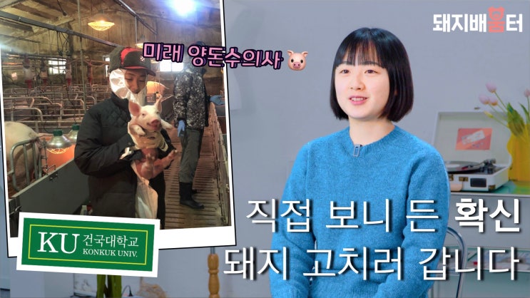  강아지 고양이 보다 좋은데요? 양돈수의사가 되려 농장 실습까지 건국대학교 수의대 이송연 학생 인터뷰