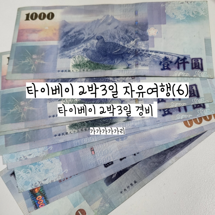  내돈내산 2박3일 대만 타이페이 자유여행(6) | 타이베이 2박3일 여행 경비 총정리 공유(대만여행 3일이 80만원!)