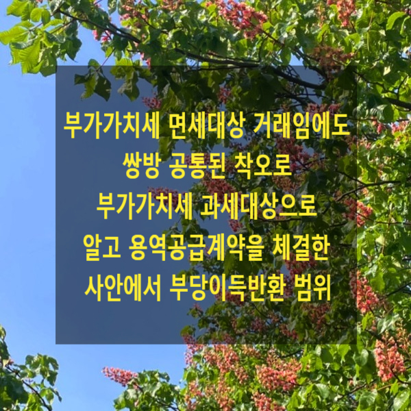  부가가치세 면세대상 거래임에도 쌍방 공통된 착오로 부가가치세 과세대상으로 알고 용역공급계약을 체결한 사안에서 부당이득반환 범위